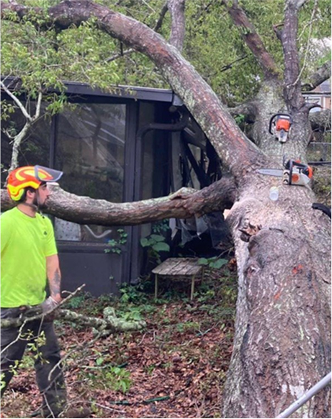 damage restoration