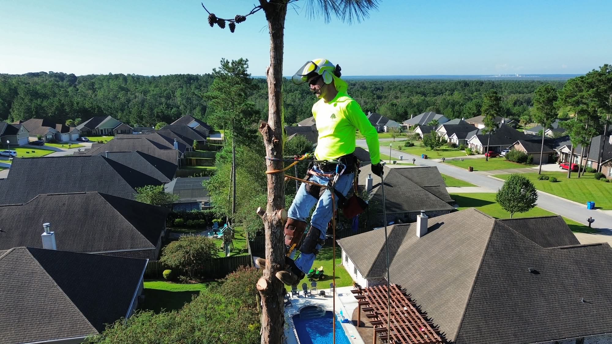 When Is It Safe to Climb a Tree for Removal