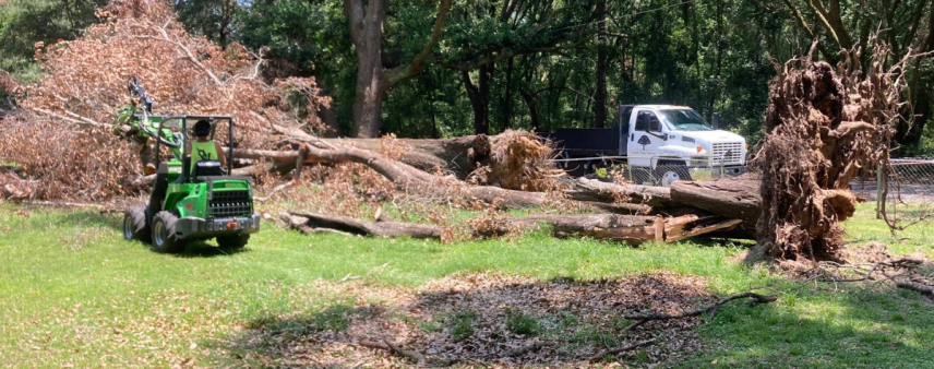 How to Hire a Professional Tree Service After a Hurricane